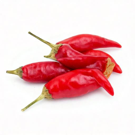 Chilli-Peperoni rot