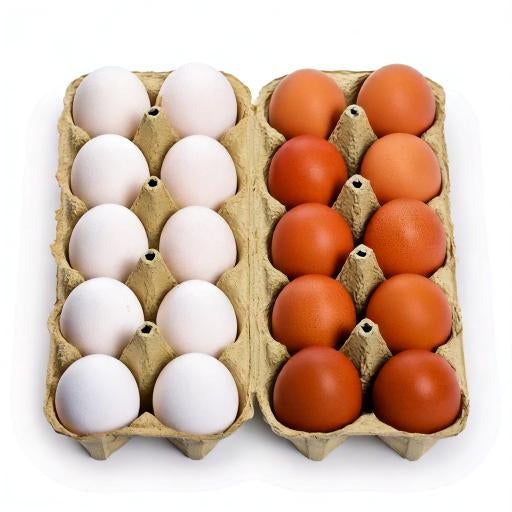 Eier 10er Weiß/Braun