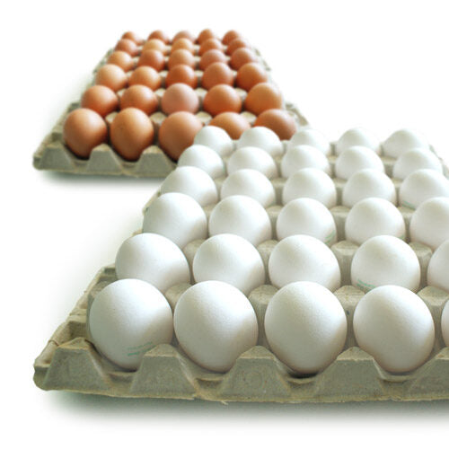 Eier 30er Weis/Braun