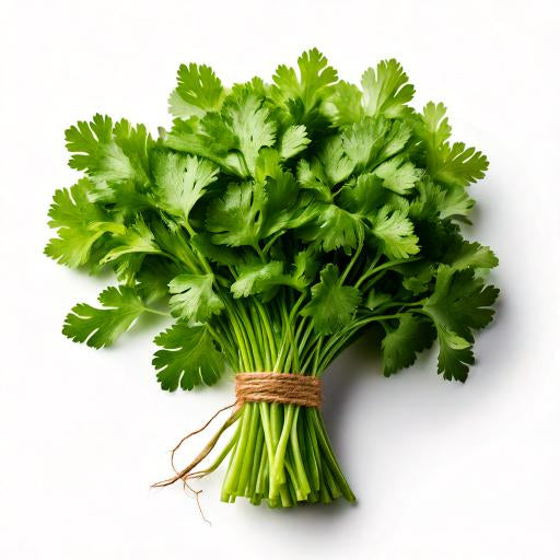 Koriander