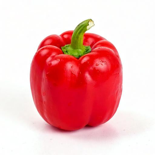 Paprika rot