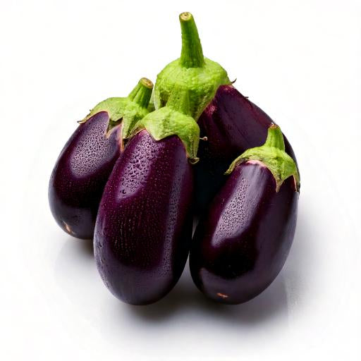 Aubergine SP