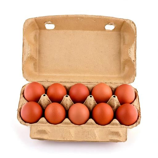 Eier 10 er braun