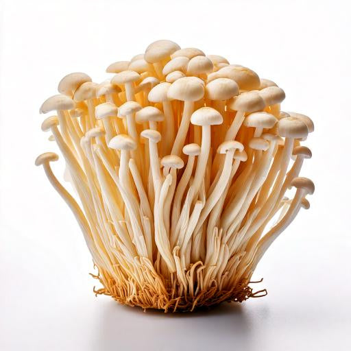 Enoki Pilze 100g