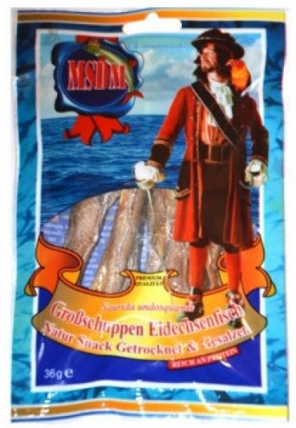 Fisch Großschuppen Eidechsenfisch 36g