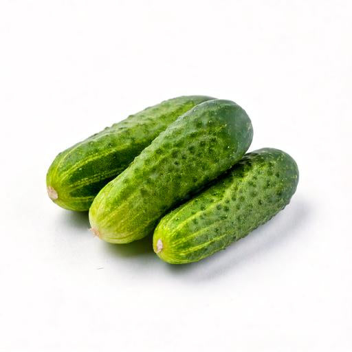 Mini-Gurke